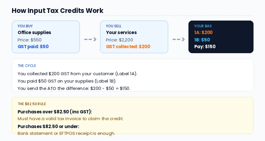 How input tax credits work showing buy, sell, and BAS cycle with Label 1A and 1B